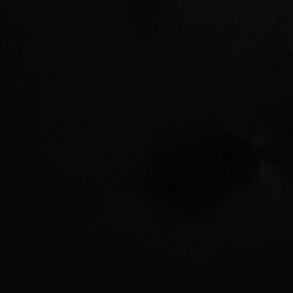 B1